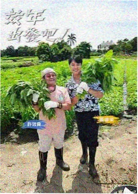 城市漫游者 旅行纪实综艺热播榜